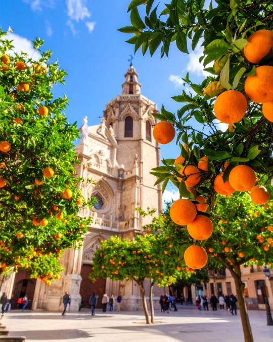 VALENCIA - Luksusowy spray do tkanin By Velcheva