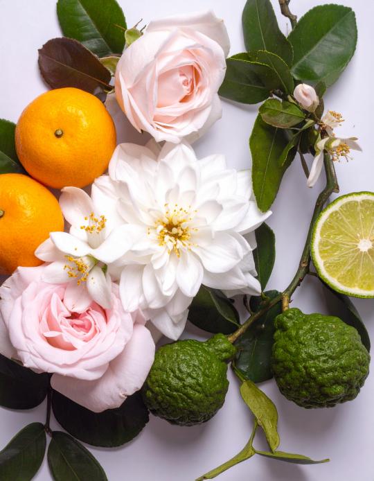 CAROLINA - Luksusowy perfum do wnętrz By Velcheva