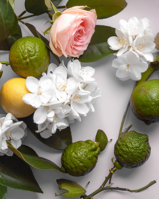 CAROLINA - Luksusowy dyfuzor zapachowy By Velcheva