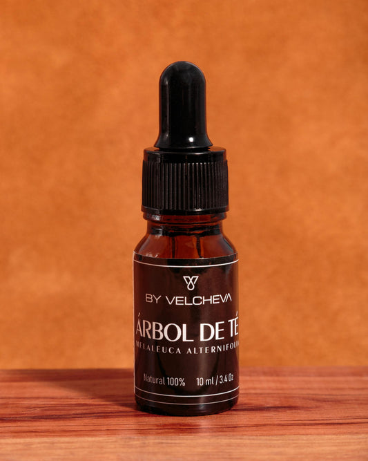 Drzewo herbaciane - olejek eteryczny By Velcheva