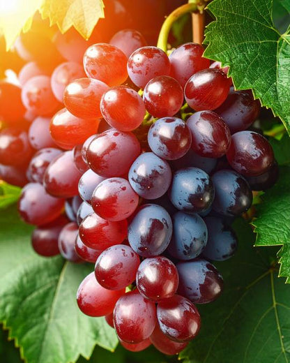 ROSSO - Luksusowa świeca zapachowa By Velcheva